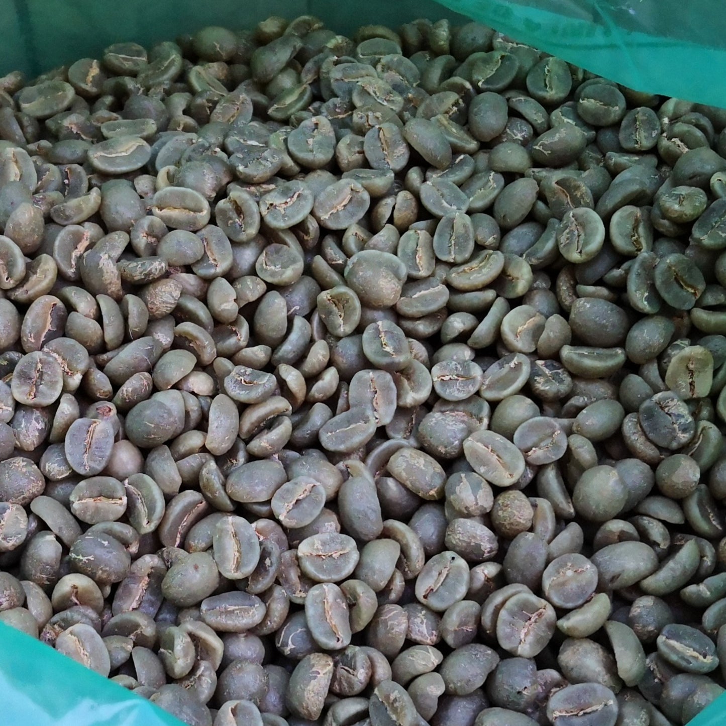 Jamaica Blue Mountain | Un-roasted Green Coffee Beans | Sample Pack 1KG/2.2LB | SILVER HILL Estate