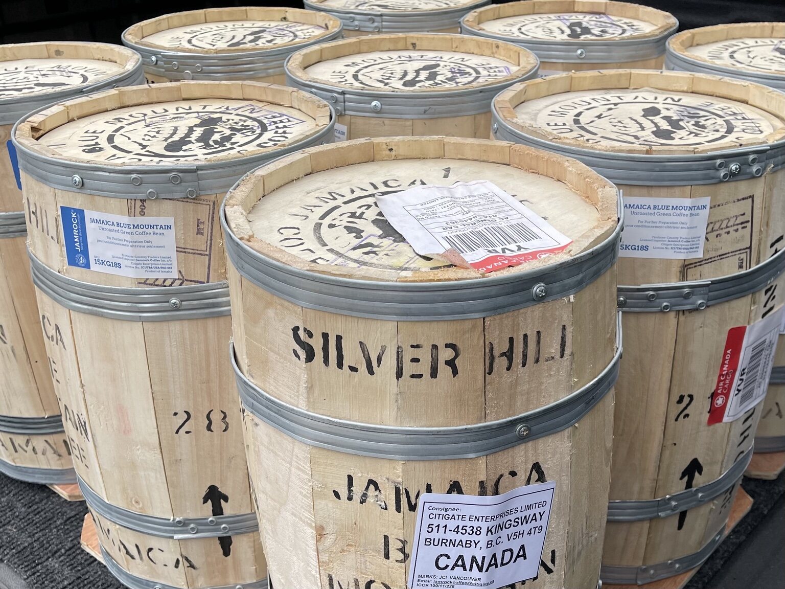 JAMROCK Jamaica Blue Mountain green coffee packed in traditional wooden barrels